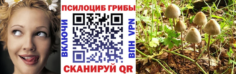 Галлюциногенные грибы ЛСД  Красноармейск 