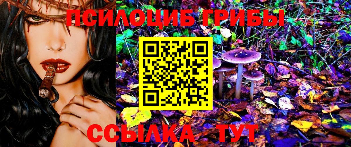 Галлюциногенные грибы Cubensis Красноармейск
