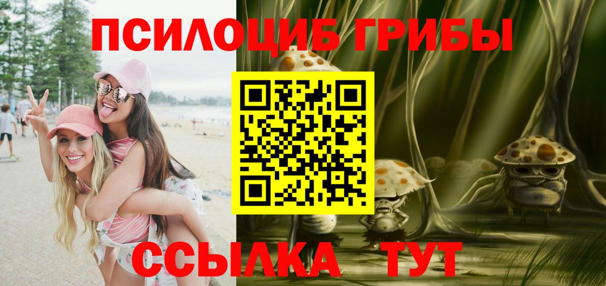 Красноармейск  наркошоп  Вход с VPN  Галлюциногенные грибы мицелий 
